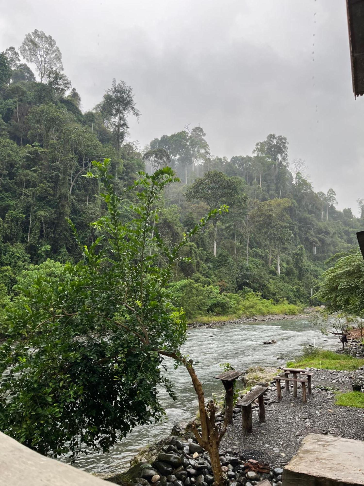 Ridho'S Homestay & Jungle Trekking ブキットラワン エクステリア 写真
