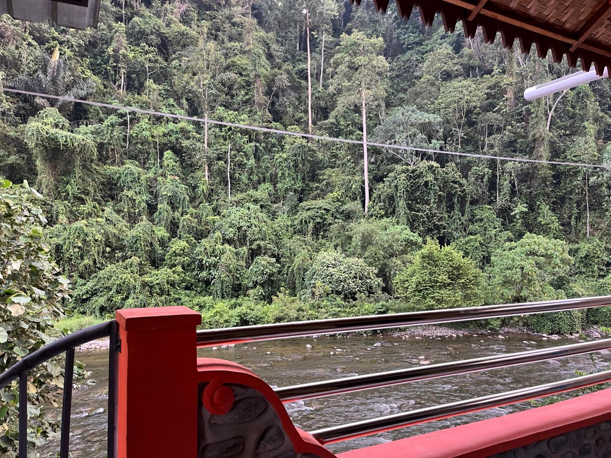 Ridho'S Homestay & Jungle Trekking ブキットラワン エクステリア 写真